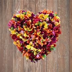 Alstromeria Heart