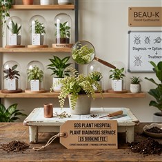 SOS Plant Hospital Expert Houseplant Diagnosis Service