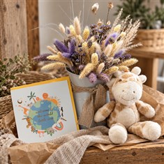 New Baby Boy Gift Set